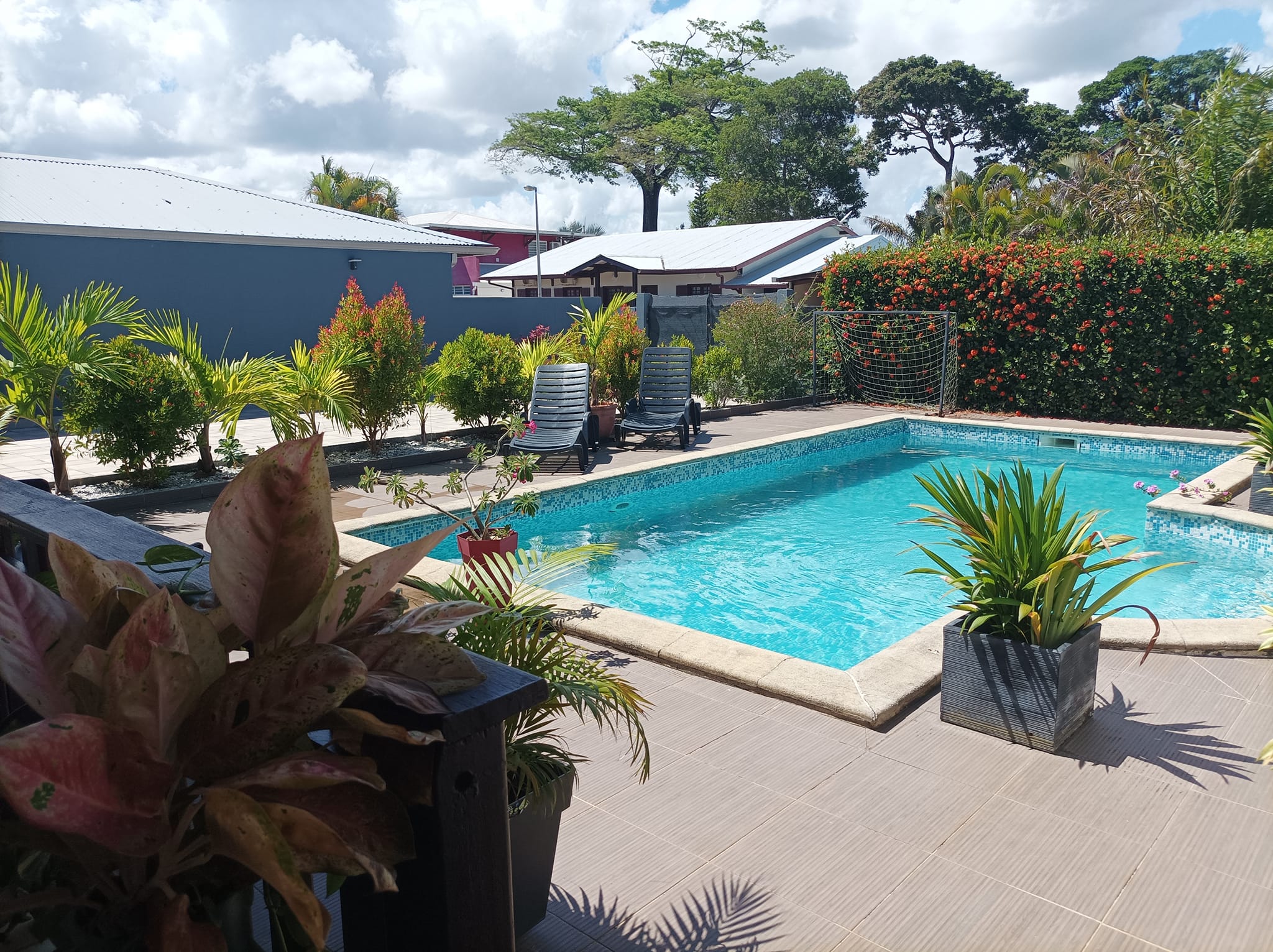 Vue d'ensemble de la piscine et du jardin tropical
