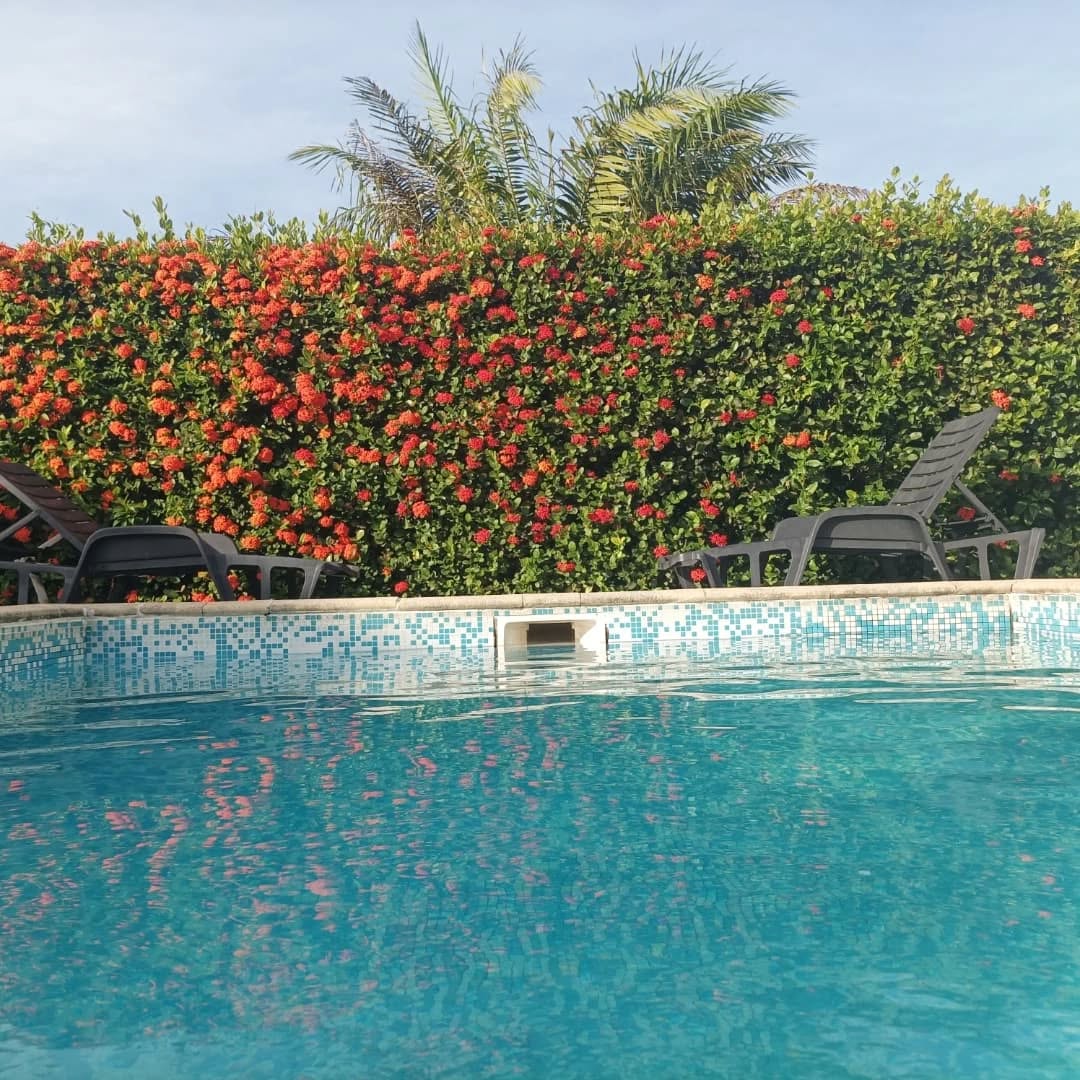 La piscine bordée de fleurs tropicales rouges